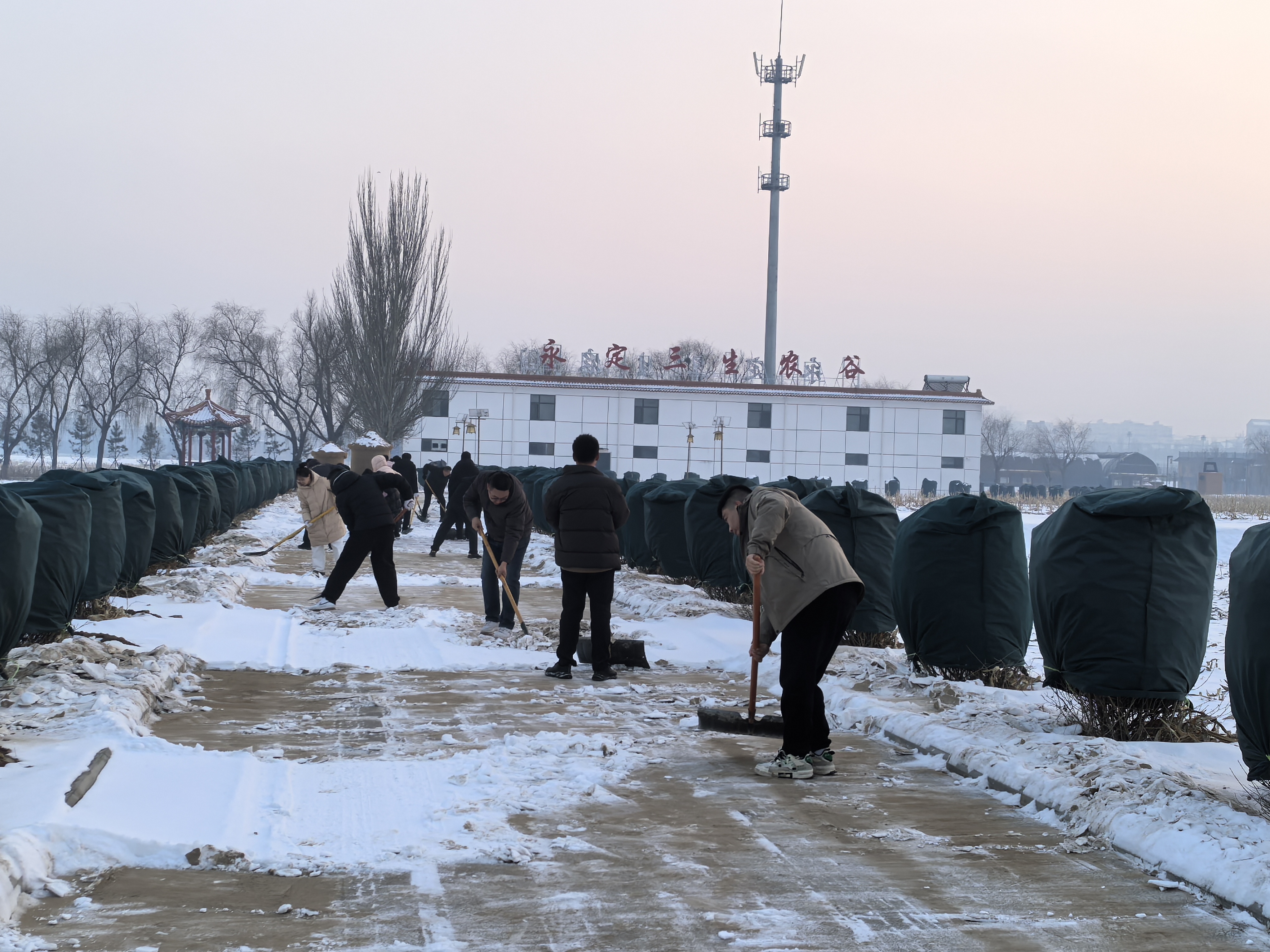 大同運營公司開展掃雪除冰工作
