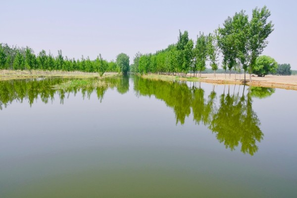 永定河生態(tài)補水盎然生機