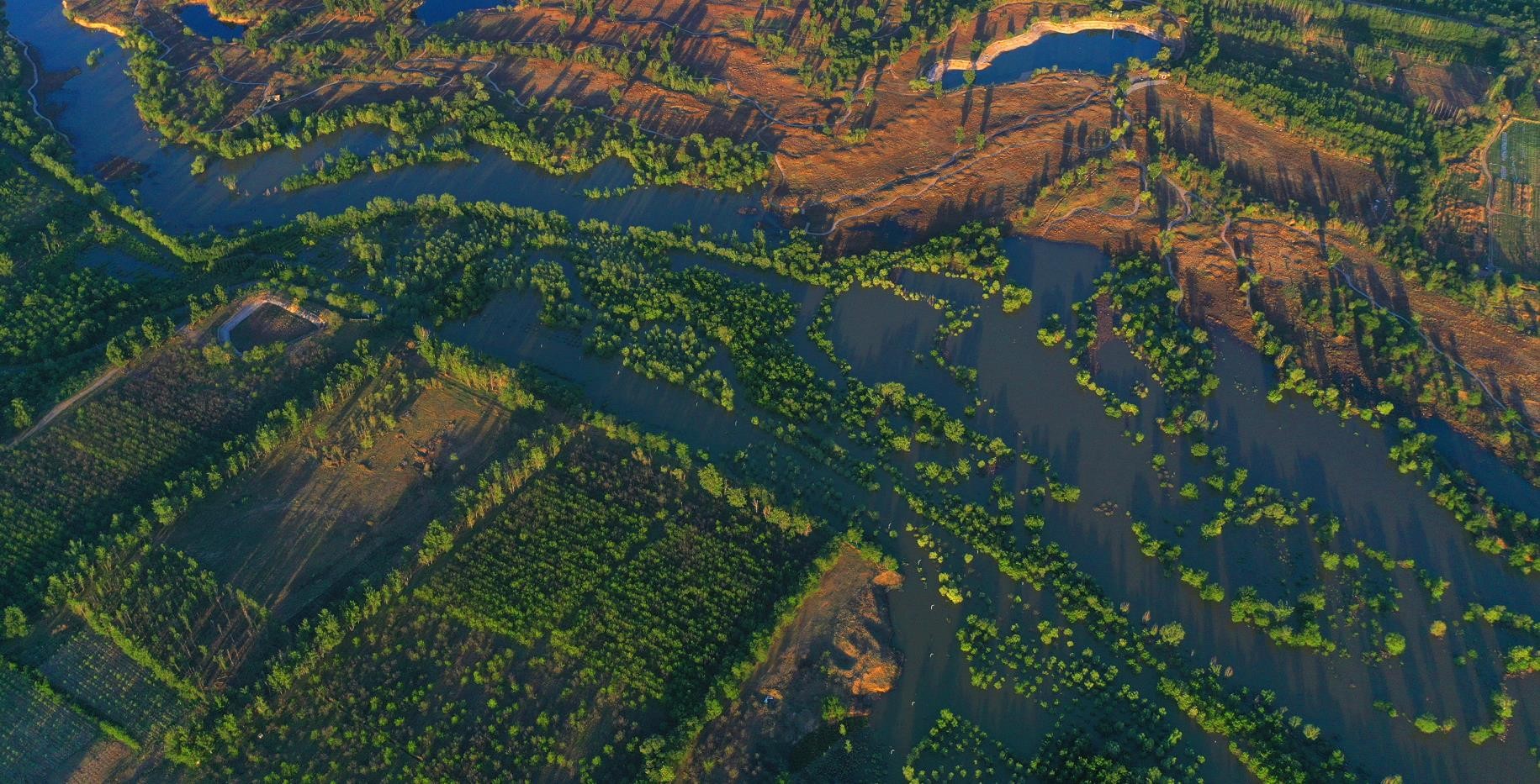 生態(tài)補(bǔ)水盎然生機(jī)